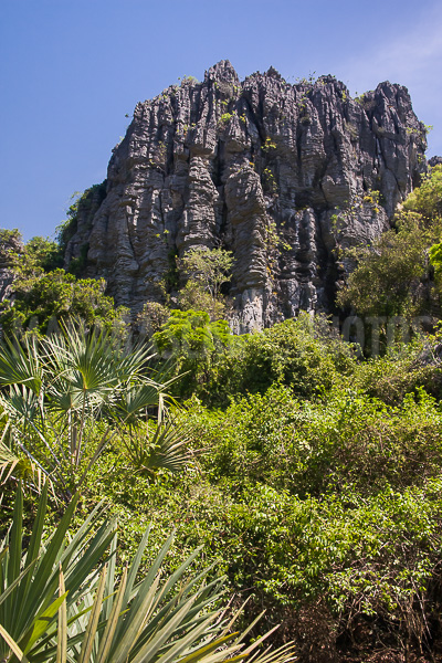 The tsingy of Ankarana
