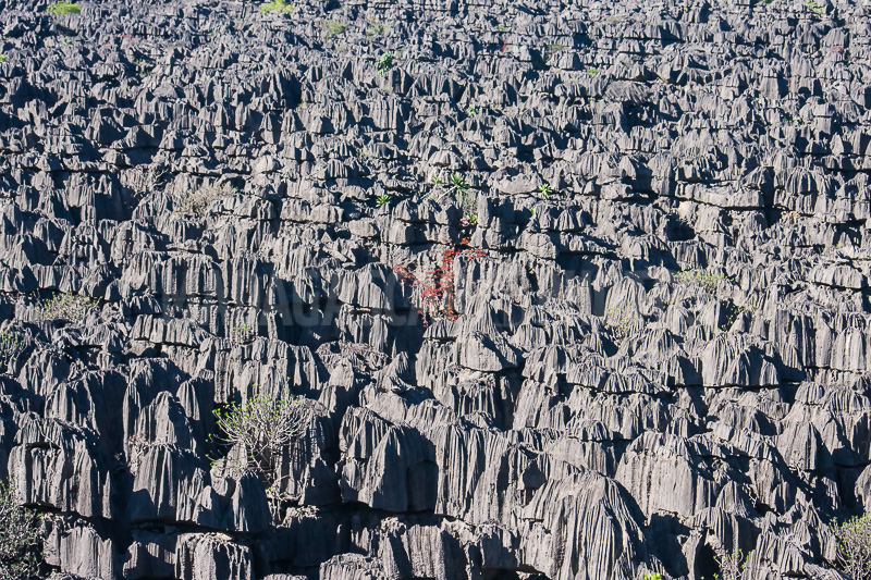 The sea of tsingy
