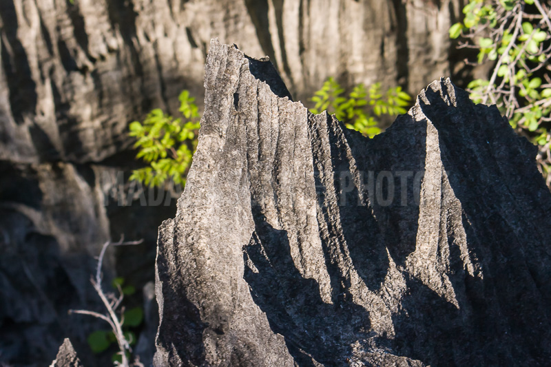 The tsingy of Ankarana