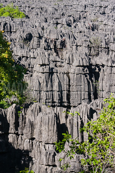 The tsingy of Ankarana