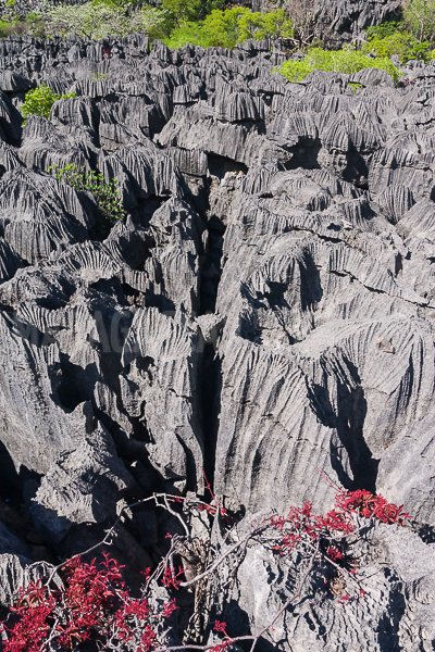 The tsingy of Ankarana