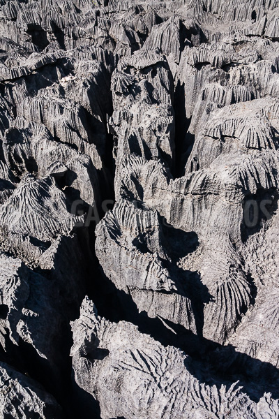 The tsingy of Ankarana