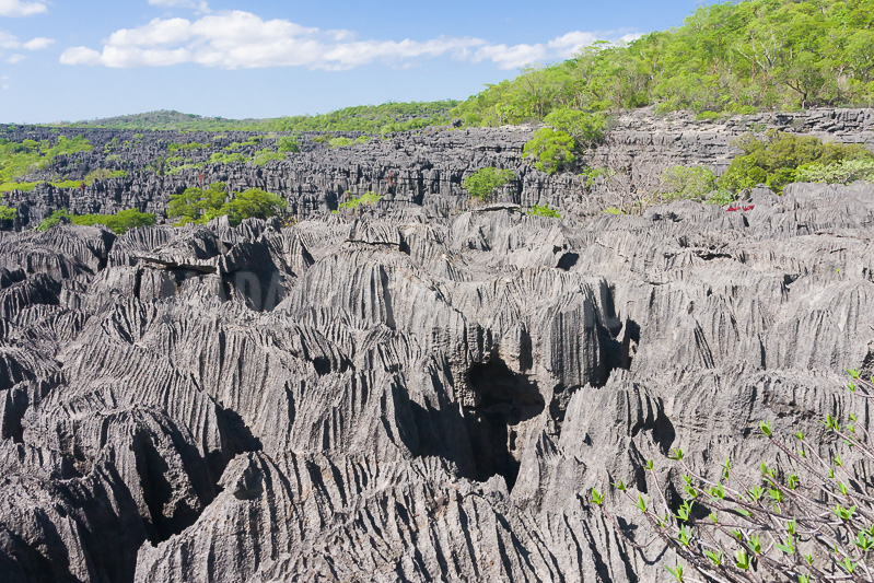 The sea of tsingy