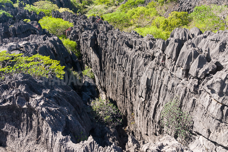The tsingy of Ankarana