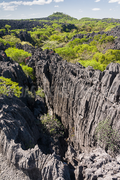 The tsingy of Ankarana
