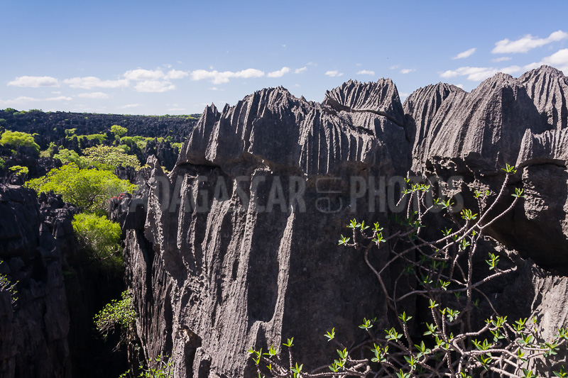The tsingy of Ankarana