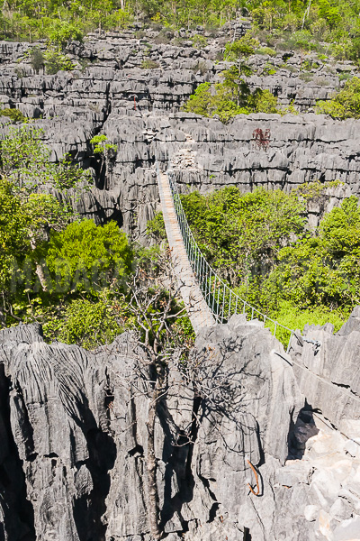 The bridge of the reserve