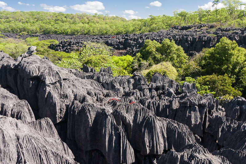 The tsingy of Ankarana