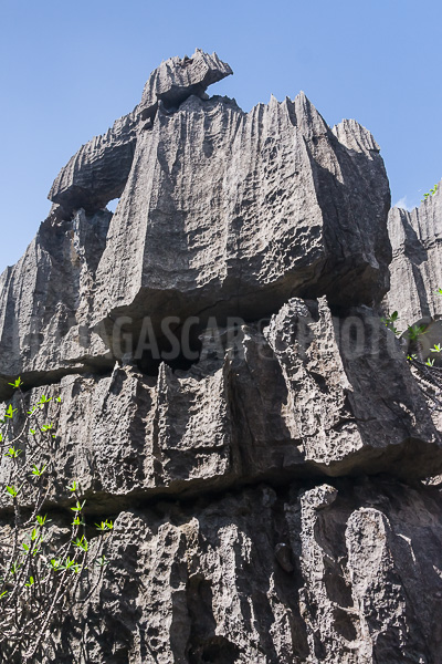 The tsingy of Ankarana
