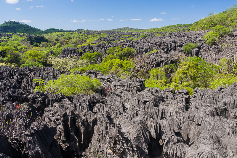 The tsingy of Ankarana