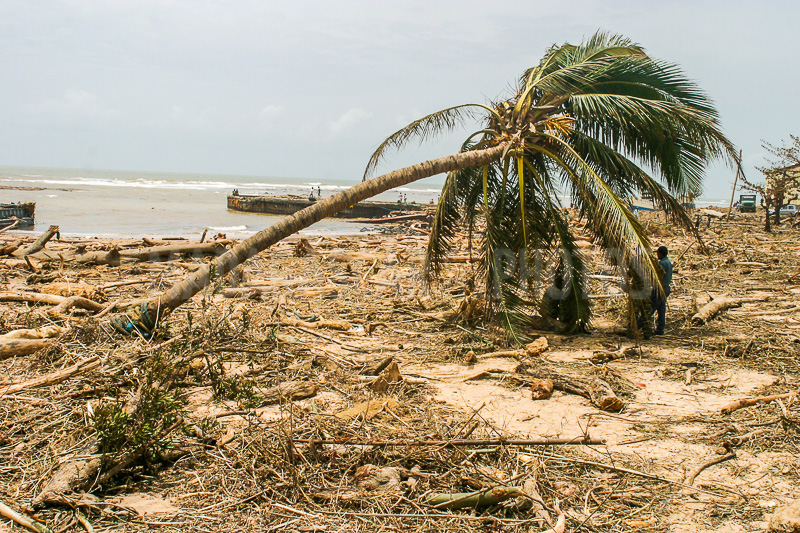 Cyclone Gafilo, 2004 March in Antalaha