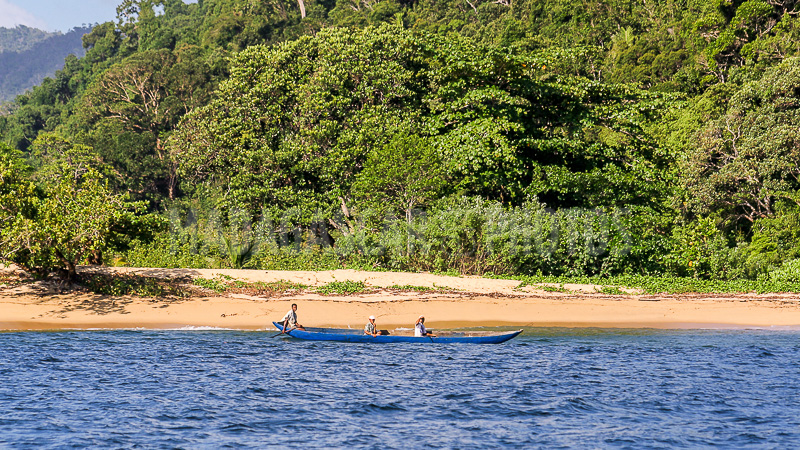 Masoala forest, Antongil bay, Madagascar