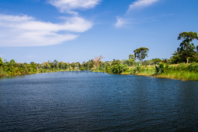 Landscape of the Pangalanes Canal
