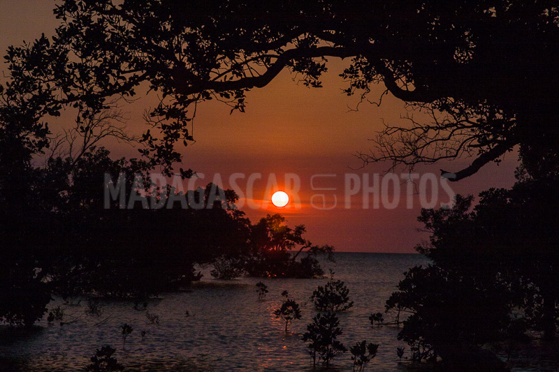 Sunset on the mangrove in the Courrier bay of Diego Suarez (Antsiranana)