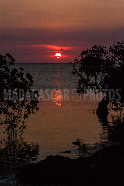 Sunset on the mangrove in the Courrier bay of Diego Suarez (Antsiranana)