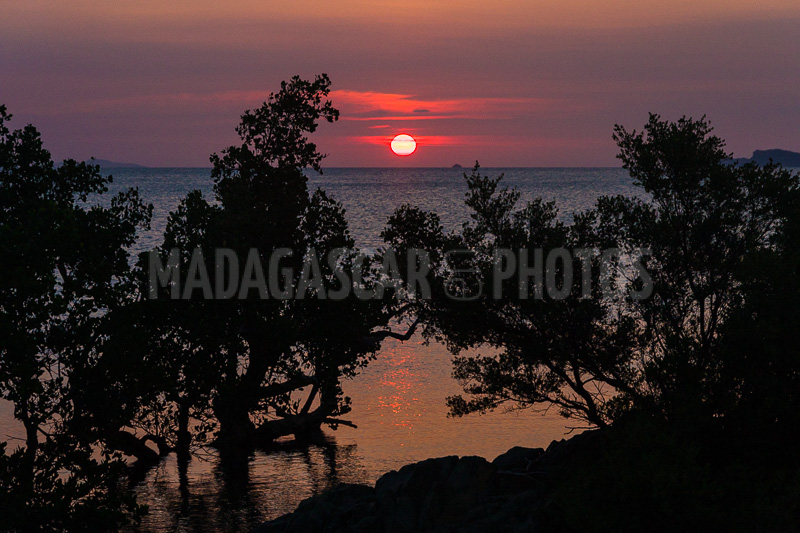 Sunset on the mangrove in the Courrier bay of Diego Suarez (Antsiranana)