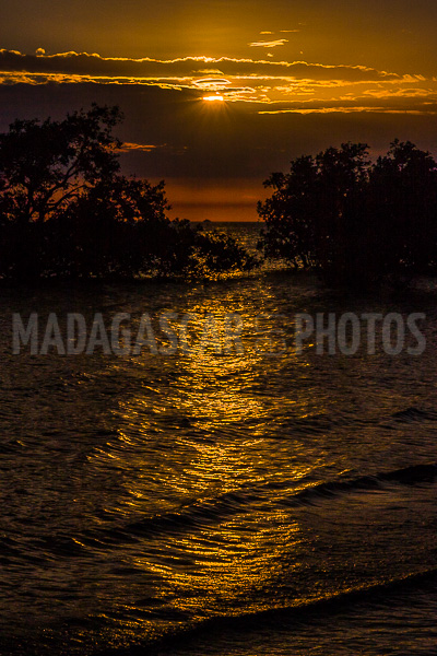 Sunset on the mangrove in the Courrier bay of Diego Suarez (Antsiranana)
