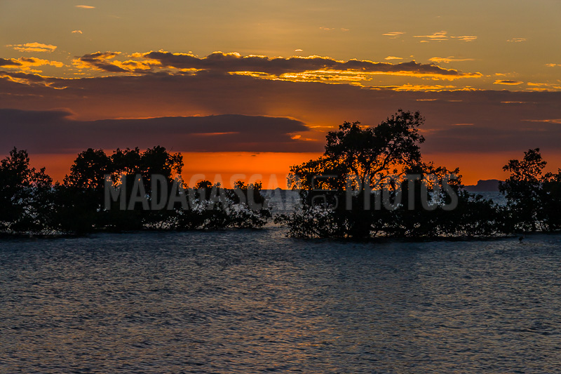 Sunset on the mangrove in the Courrier bay of Diego Suarez (Antsiranana)