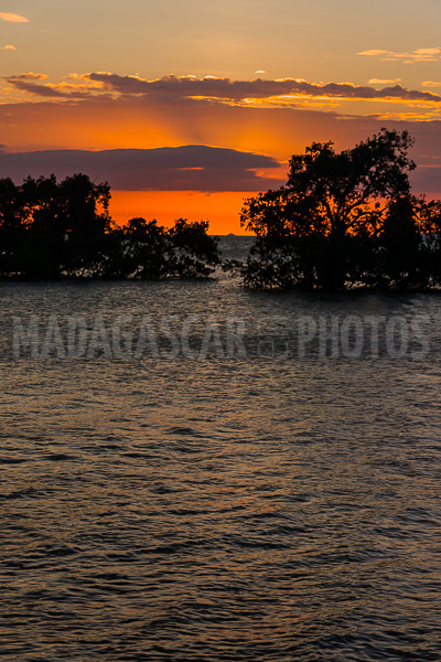 Sunset on the mangrove in the Courrier bay of Diego Suarez (Antsiranana)