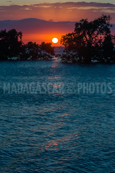 Sunset on the mangrove in the Courrier bay of Diego Suarez (Antsiranana)