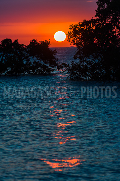 Sunset on the mangrove in the Courrier bay of Diego Suarez (Antsiranana)