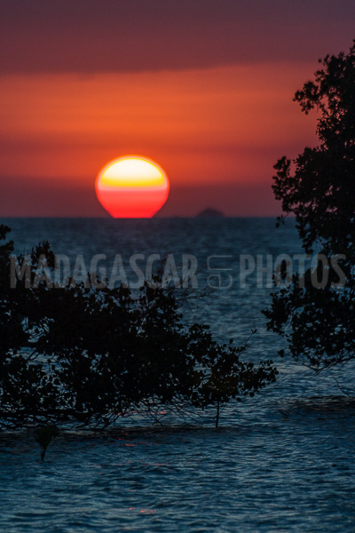 Sunset on the mangrove in the Courrier bay of Diego Suarez (Antsiranana)