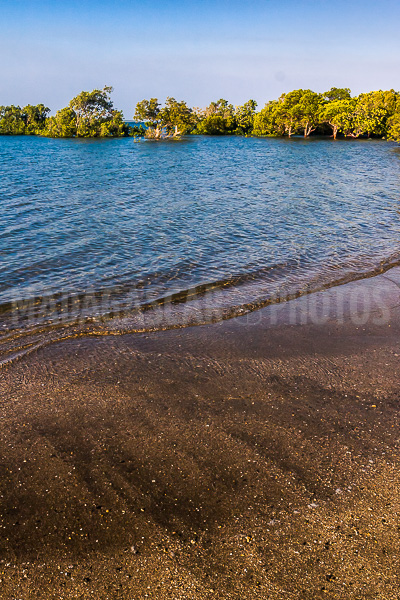 Mangrove in the Courrier bay of Diego Suarez (Antsiranana)