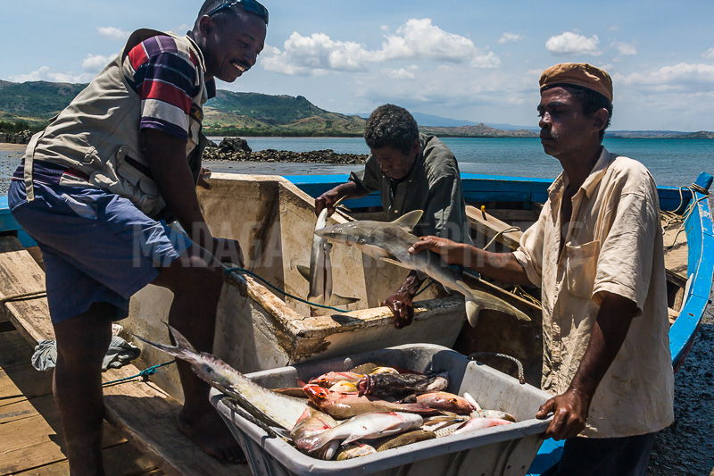 Return fishing in the Courrier bay of Diego Suarez (Antsiranana)