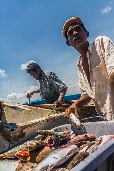Return fishing in the Courrier bay of Diego Suarez (Antsiranana)