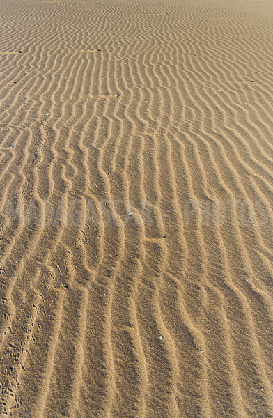 The dunes of Lavanono