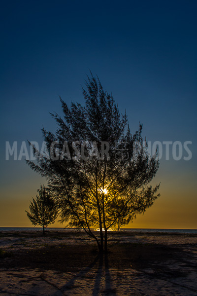 Sunset in Antsanitia (Majunga), Madagascar