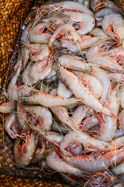 Shrimp fishing in Antsanitia (Majunga), Madagascar