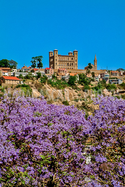 The Rova and the jacarandas