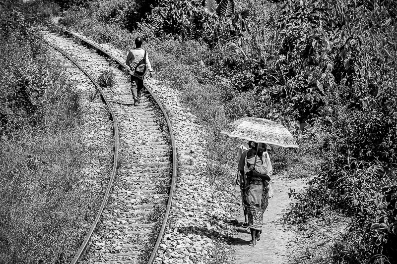 Along the railway line , the Fianarantsoa - East Coast train (FCE)