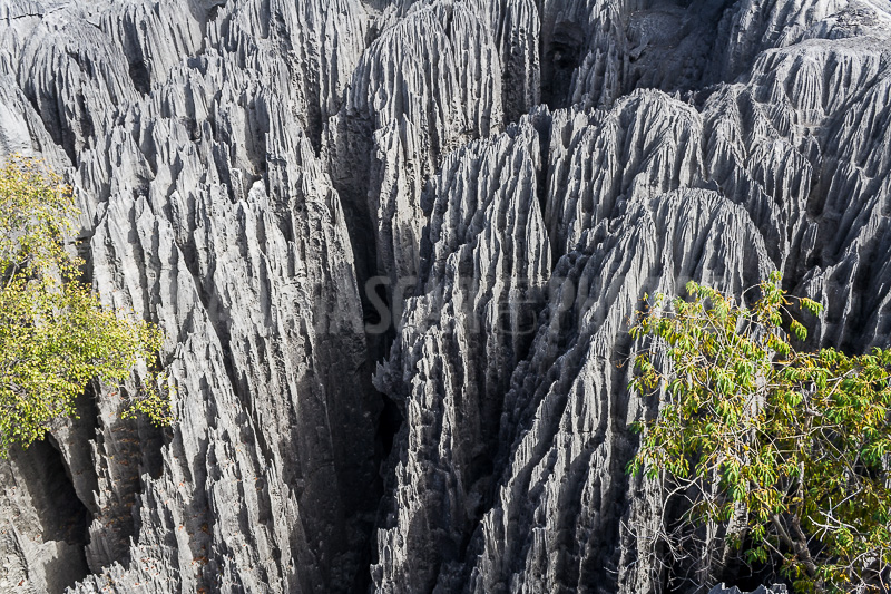 The great Tsingy of Bemaraha, Madagascar